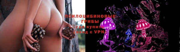 a pvp Белокуриха