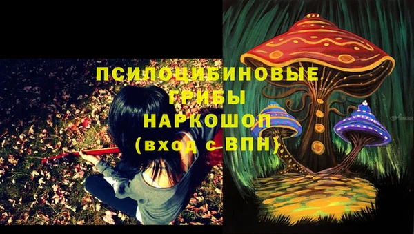 ALPHA-PVP Богданович