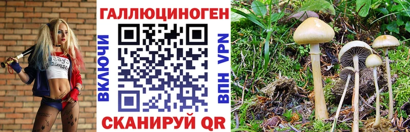 Галлюциногенные грибы MAGIC MUSHROOMS  ОМГ ОМГ зеркало  Пестово 